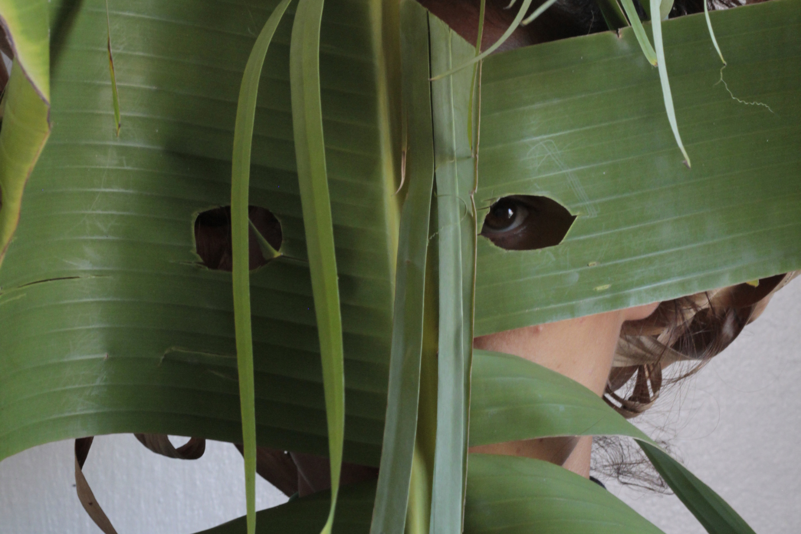 A brincadeira popular é tema da exposição “Quem tem Cara de Papangu” e estará aberta à visitação a partir do dia 5 de março.